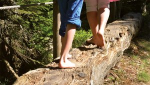 , Marek Brandt auf stock.adobe.com